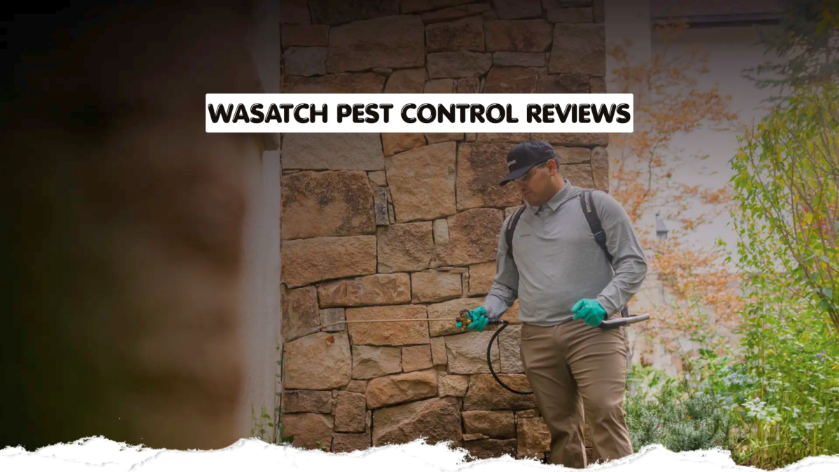 Wasatch Pest Control Reviews An In Depth Look at Customer Experiences Services and Reputation networked for change